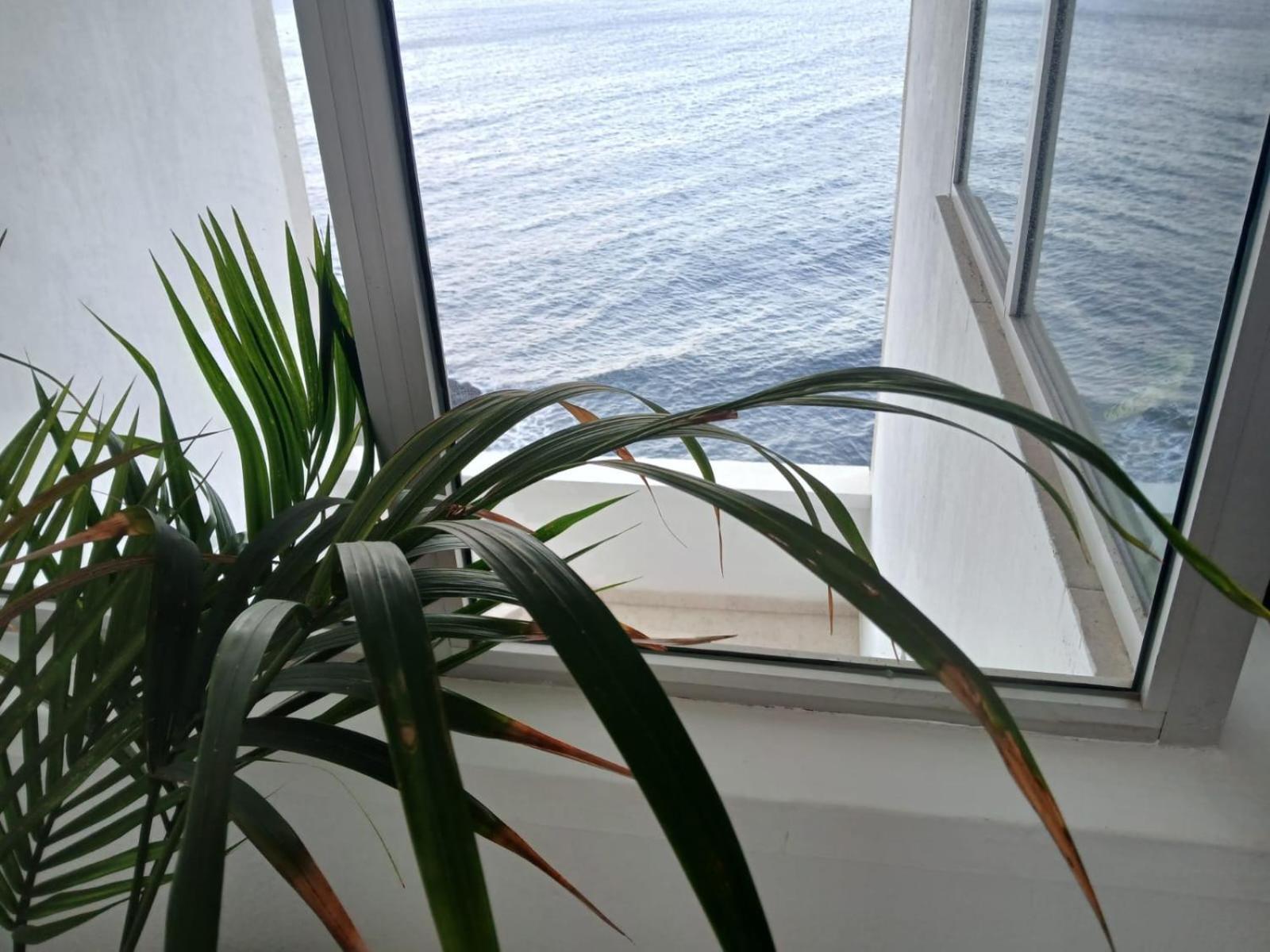 Apartamentos Playa Chica / Playa Las Gaviotas Santa Cruz de Tenerife Bagian luar foto